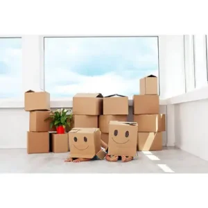 کارتن اسباب کشی